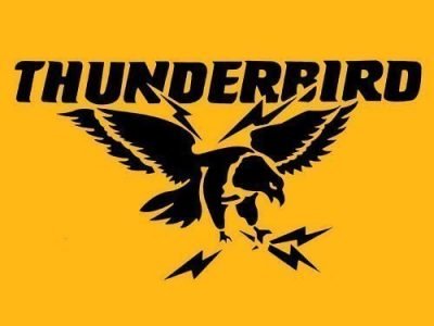 THUNDERBIRD ELECTRIC FENCE MANUFACTURERS AND SUPPLIERS LOGO