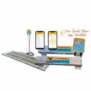 Thunderbird Cattle Weighing Platform Galvanised shown with reader and weigh bars
