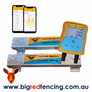 What'S New 3 Thunderbird T40-2000 Scale – Cattle Weighing System