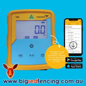 What'S New 4 Thunderbird T40-2000 Scale – Cattle Weighing System App