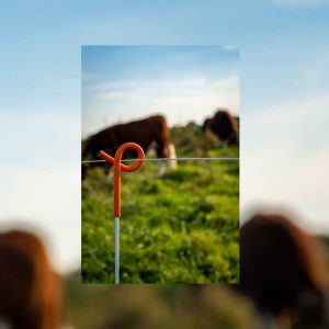 Benefits Of Strip Grazing With Electric Fences 2 benefits of strip grazing with electric fences