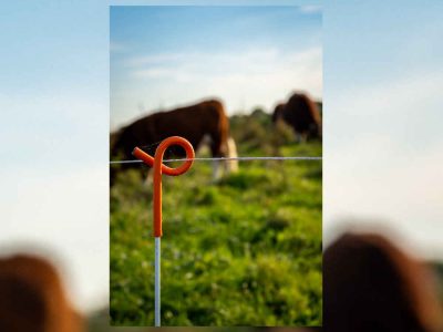 benefits of strip grazing with electric fences